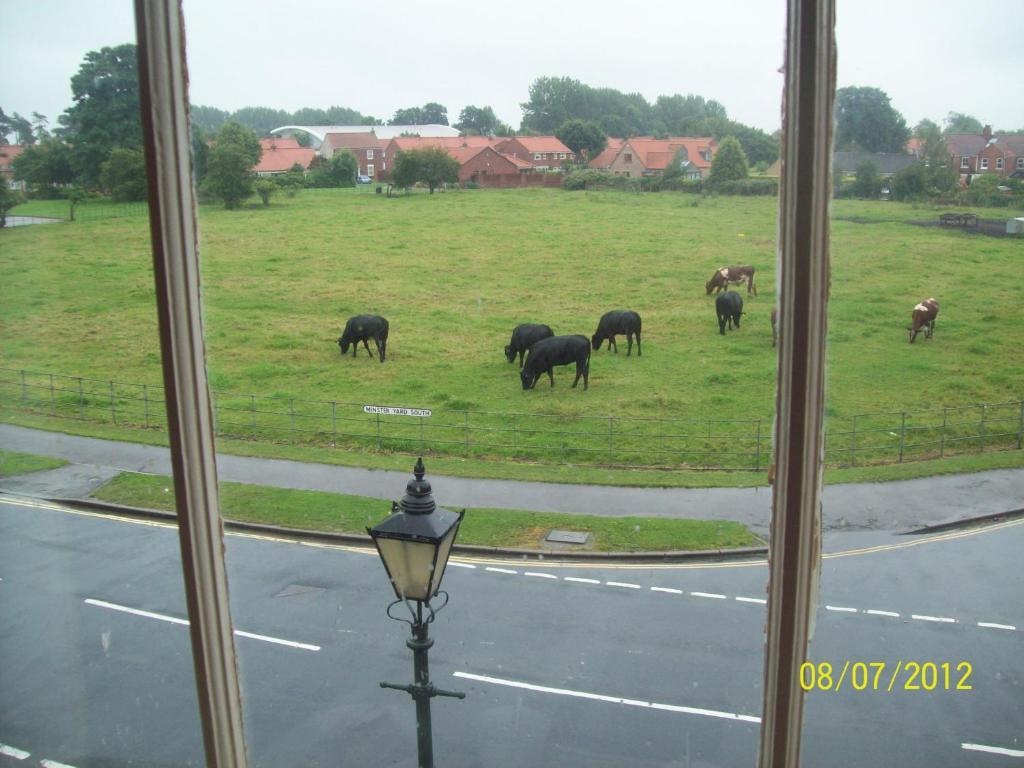 Minster Garth Guest House Beverley Chambre photo