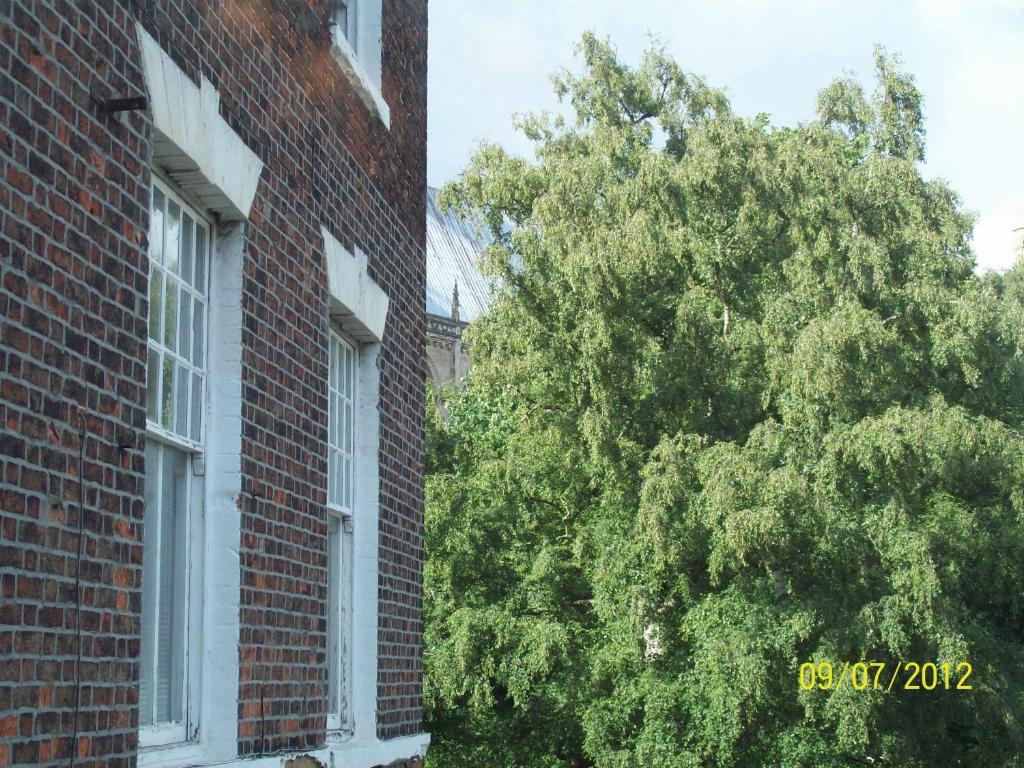 Minster Garth Guest House Beverley Chambre photo